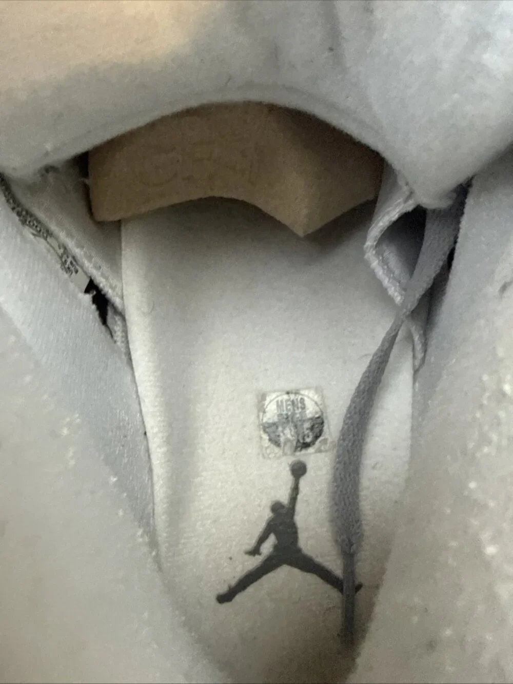 Size 10.5 - Air Jordan 5 Retro 2026 Wolf Grey